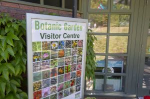 _botanic garden 2.jpg